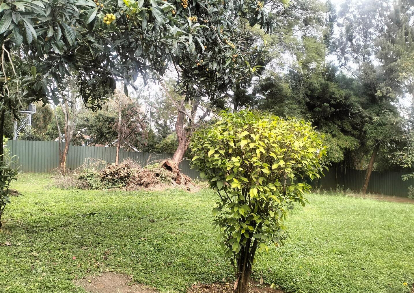 1.1 Acre Kilimani Plot at KSh 350M