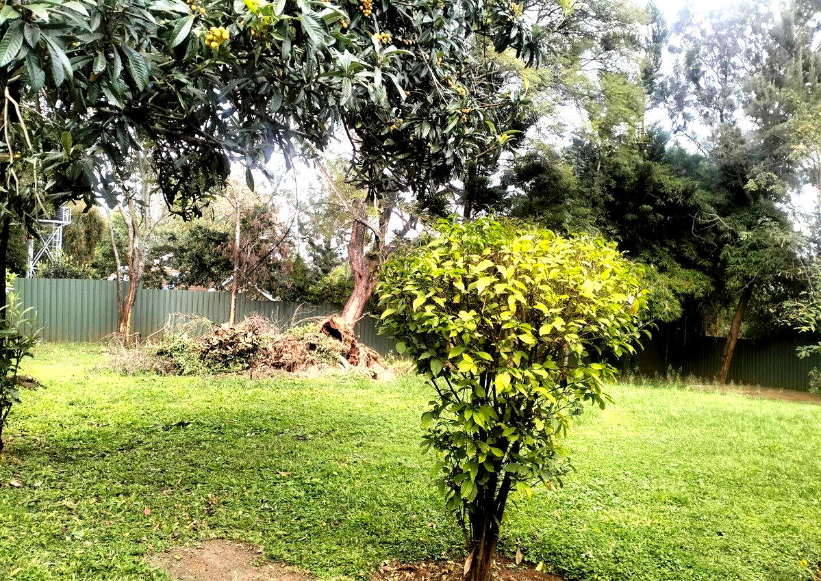 1.1 Acre Kilimani Plot at KSh 350M