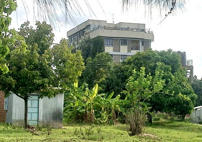 Quarter Acre Plot with Garden in Machakos