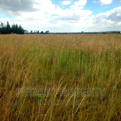 150 Acres for Sale in Masai Mara - Image 2