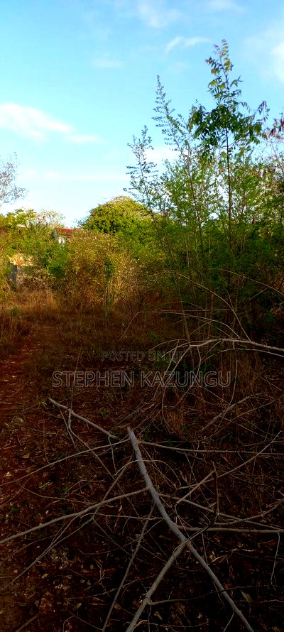 1/2 Acre Plot on Sale in Behind Sundowner Galu Beach - Image 10