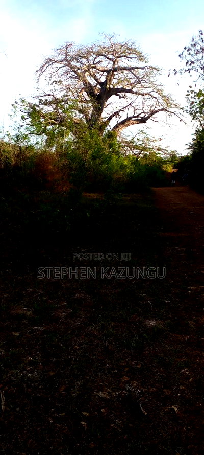 1/2 Acre Plot on Sale in Behind Sundowner Galu Beach - Image 5