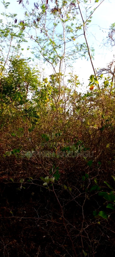 1/2 Acre Plot on Sale in Behind Sundowner Galu Beach - Image 13