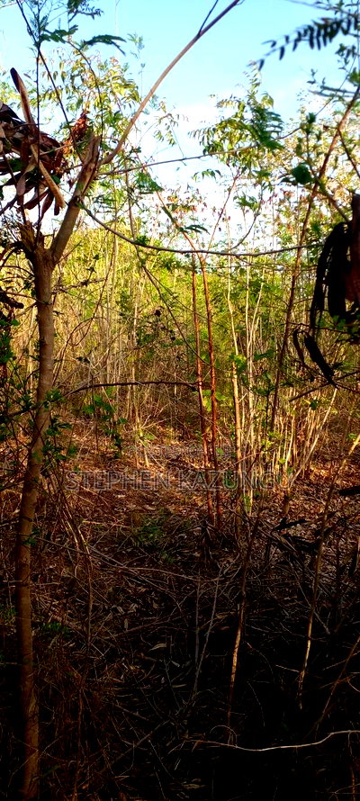 1/2 Acre Plot on Sale in Behind Sundowner Galu Beach - Image 11