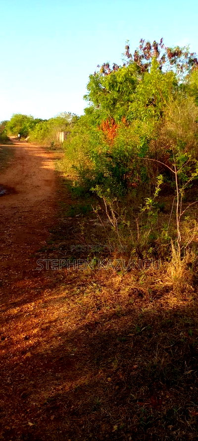 1/2 Acre Plot on Sale in Behind Sundowner Galu Beach - Image 7