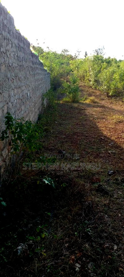 1/2 Acre Plot on Sale in Behind Sundowner Galu Beach - Image 2