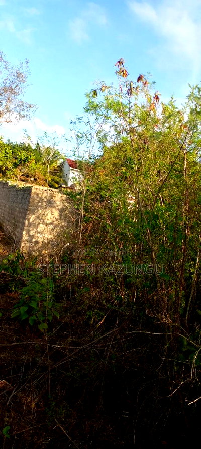 1/2 Acre Plot on Sale in Behind Sundowner Galu Beach - Image 4