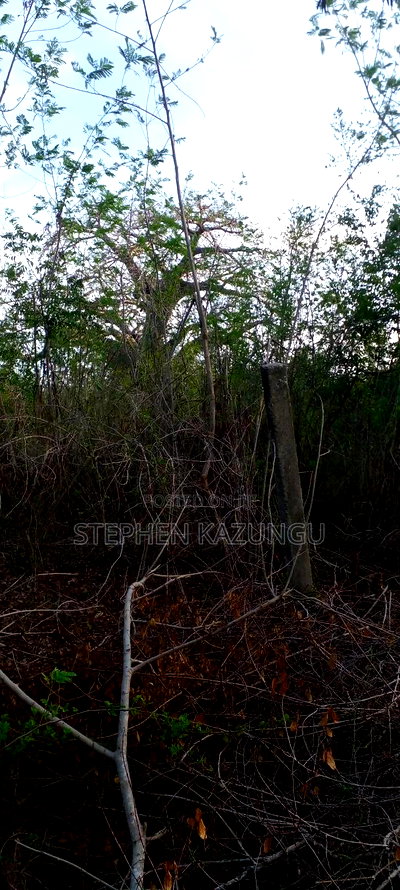 1/2 Acre Plot on Sale in Behind Sundowner Galu Beach - Image 6