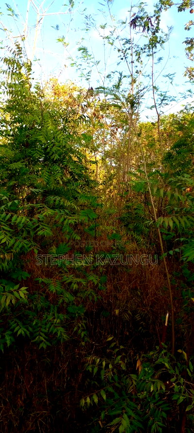 1/2 Acre Plot on Sale in Behind Sundowner Galu Beach - Image 8