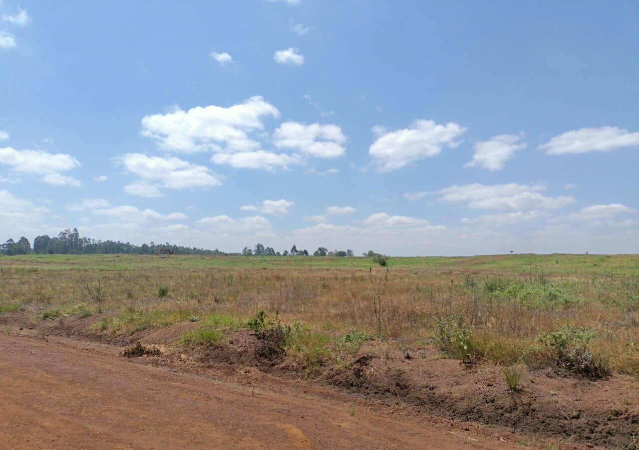 1/8 Acre Plot in Ruiru's Oaklands Estate