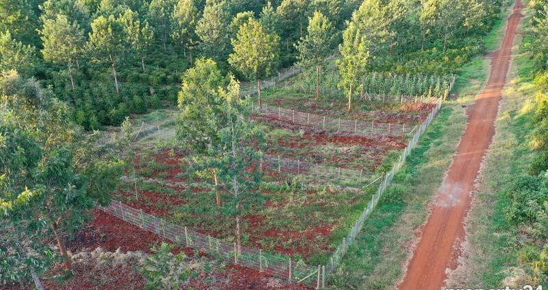 1/8 Acre Plot in Ruiru's Oaklands Estate