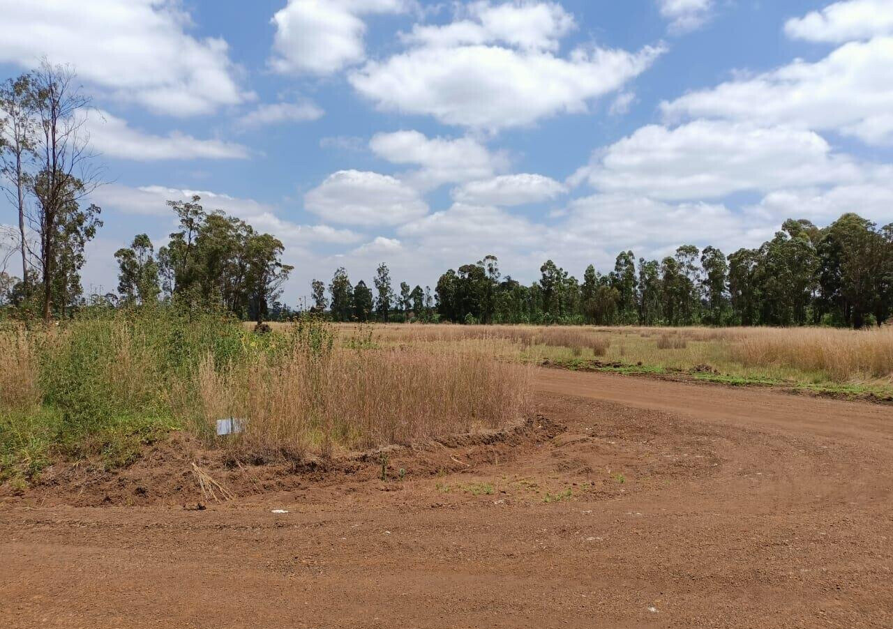 1/8 Acre Plot in Ruiru's Oaklands Estate