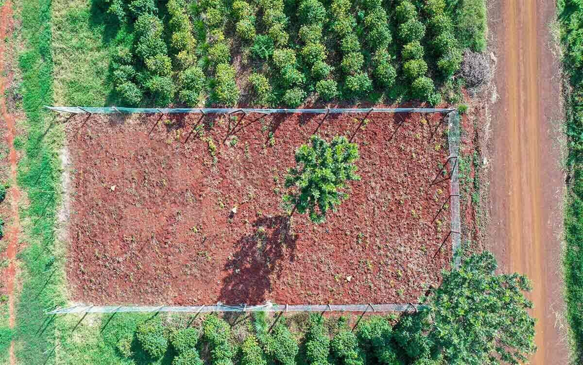 1/8 Acre Plot in Ruiru's Oaklands Estate