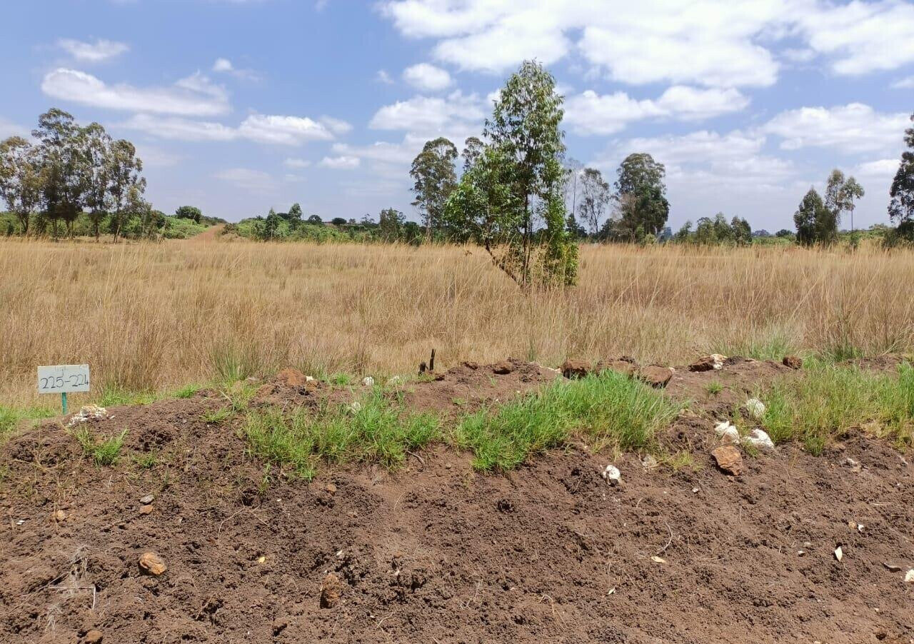 1/8 Acre Plot in Ruiru's Oaklands Estate