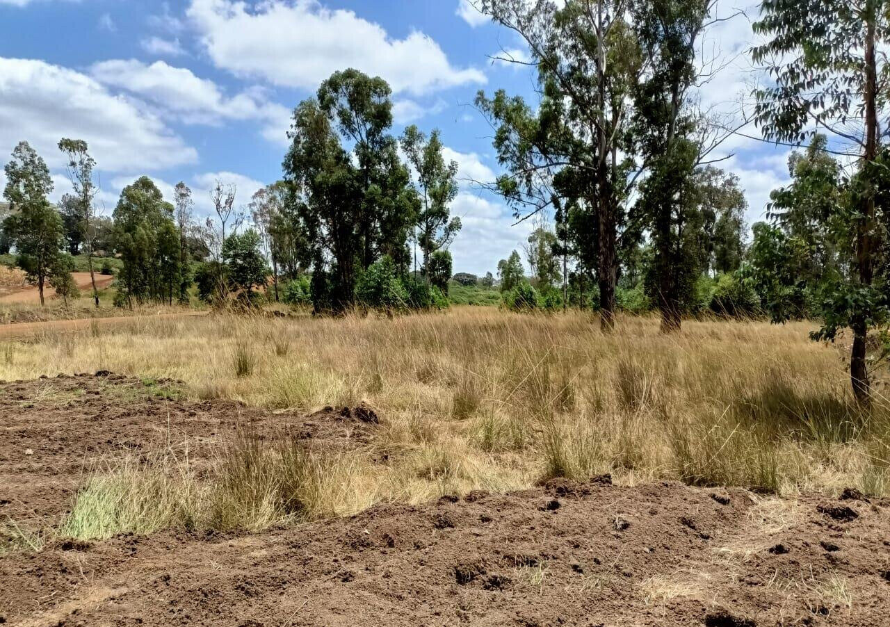 1/8 Acre Plot in Ruiru's Oaklands Estate