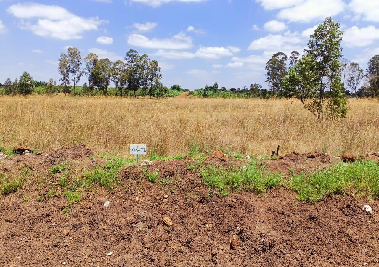 1/8 Acre Plot in Ruiru's Oaklands Estate