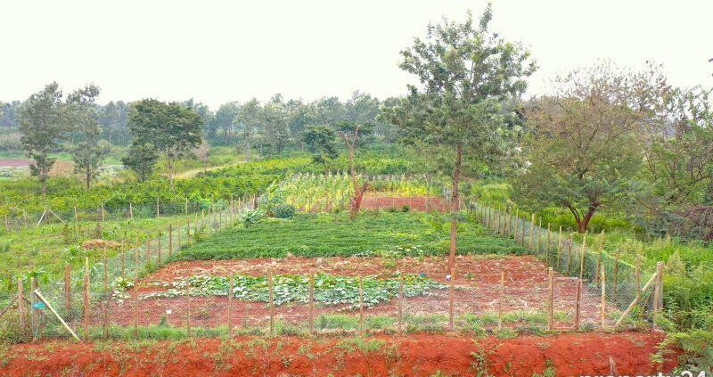 1/8 Acre Plot in Ruiru's Oaklands Estate
