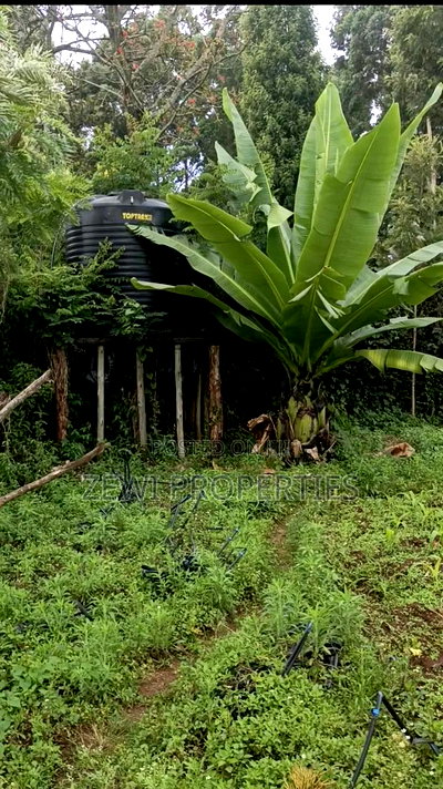 1/8 Acre Matasia - Image 5