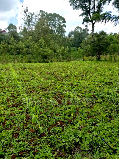 1/8 Acre Matasia - Image 2