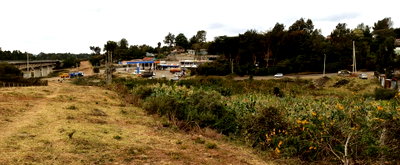 5-Acre Langata Gem at KSh 250M