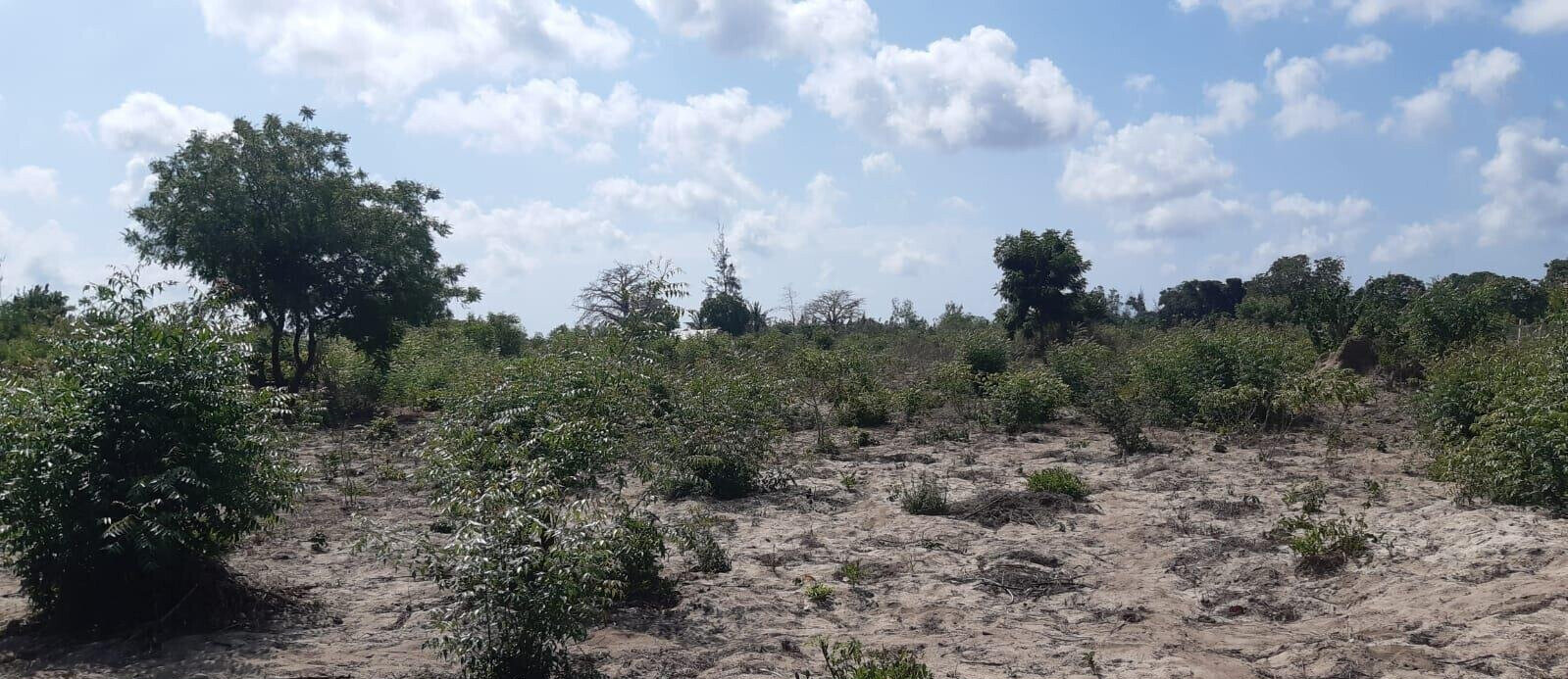 3-Acre Plot with Garden and Parking at KSh 2.4M