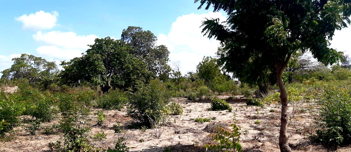 3-Acre Plot with Garden and Parking at KSh 2.4M