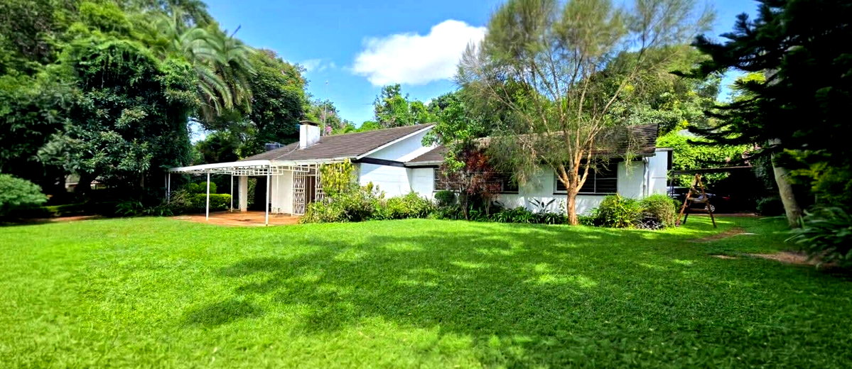 50x100 Plot 4BR Home