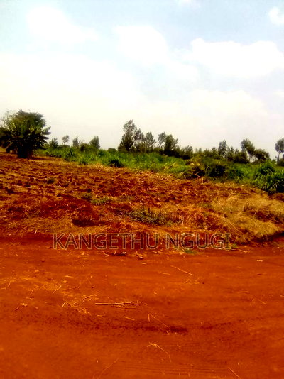 Plot Measuring 40x80 at Anmer Estate - Image 4