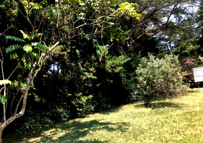 Half Acre Garden Plot at KSh 35M