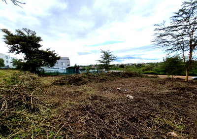 Quarter Acre Townhouse Plot