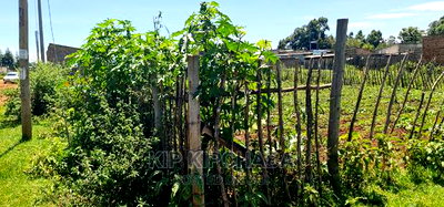 Plot For Sale Chepkoilel Touching Highway In Eldoret - Image 4