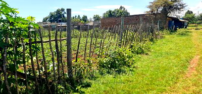 Plot For Sale Chepkoilel Touching Highway In Eldoret - Image 3