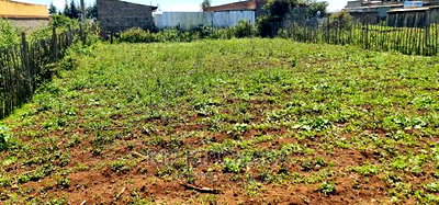 Plot For Sale Chepkoilel Touching Highway In Eldoret - Image 6