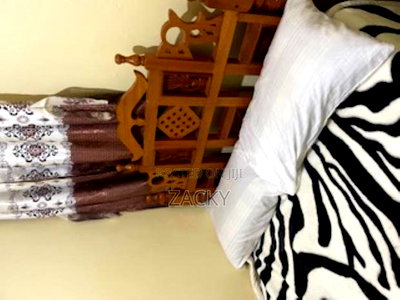 Furnished Studio Apartment in Riara, Ole Odume Rd, Hurlingham for rent - Image 2