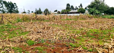Plots for Sale Kiplombe Opposite New MTRH in Eldoret - Image 6