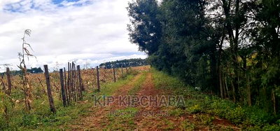 Plots for Sale Kiplombe Opposite New MTRH in Eldoret - Image 3