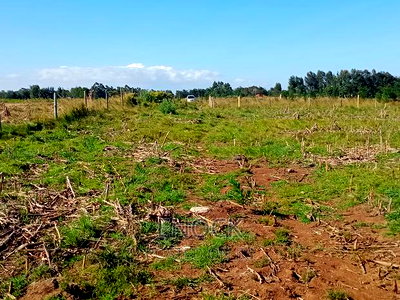 Prime Plots in Marura Centre - Image 2