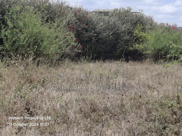 Prime 1/4 Plot for Sale Sabaki