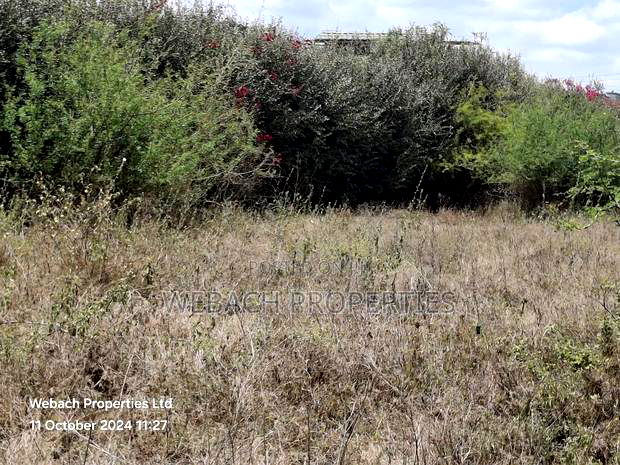 Prime 1/4 Plot for Sale Sabaki