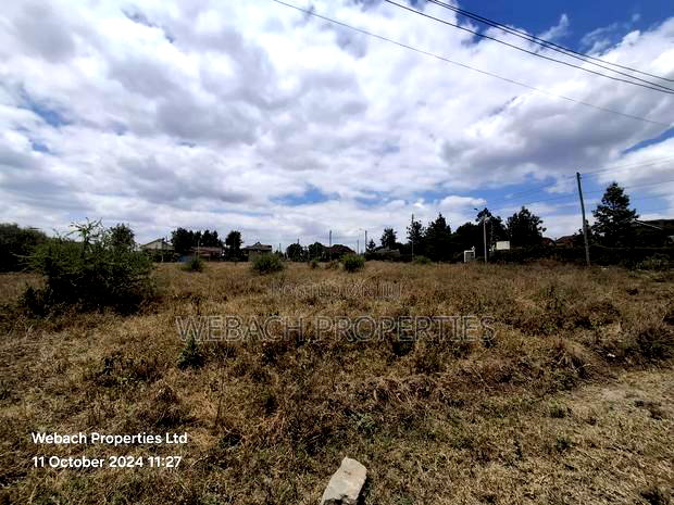 Prime 1/4 Plot for Sale Sabaki