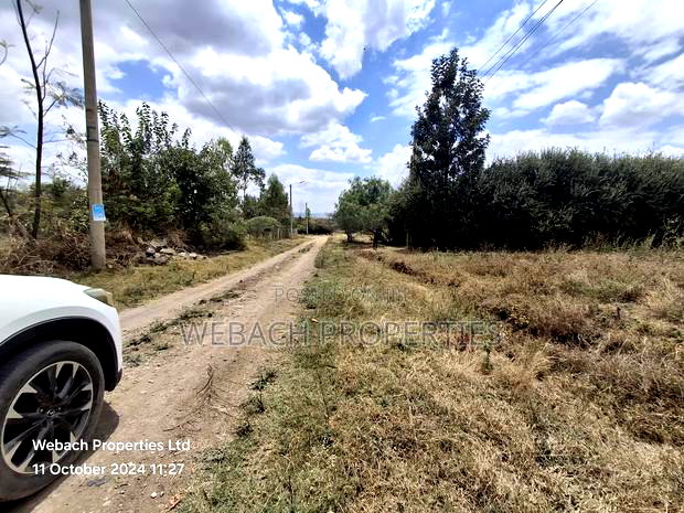 Prime 1/4 Plot for Sale Sabaki