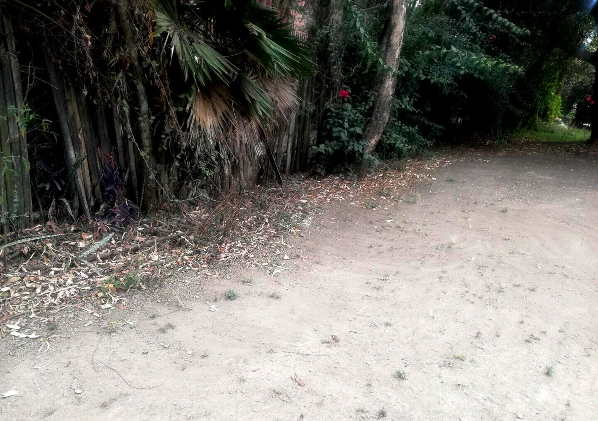 Garden Plot in Kilimani's Prime Area