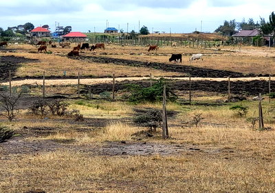 50x100 Plot in Kajiado CBD for KSh 750K