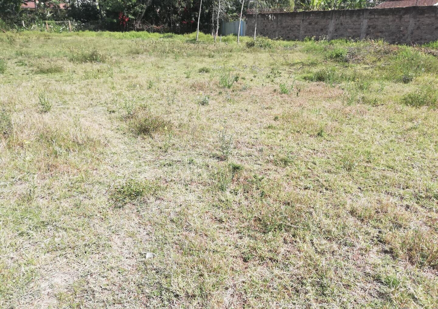 Half Acre Garden in Karen