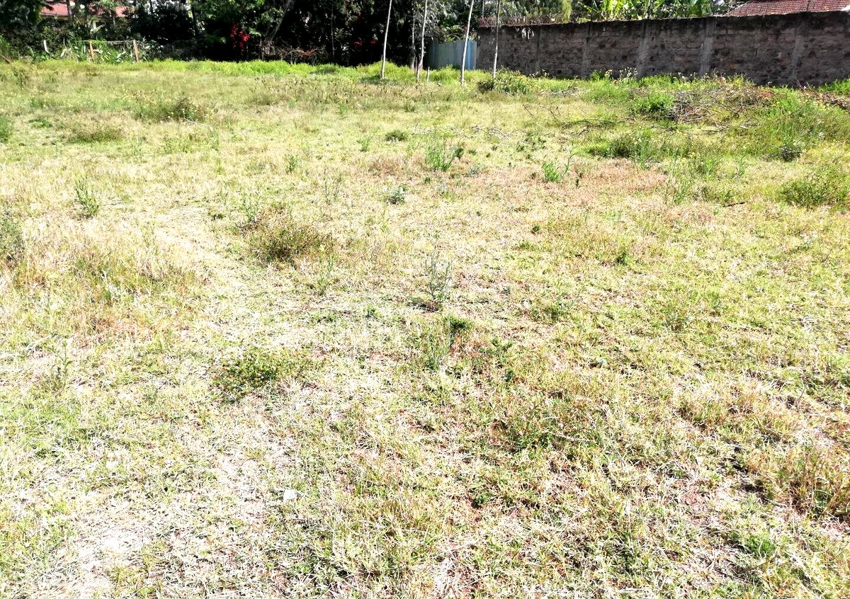 Half Acre Garden in Karen