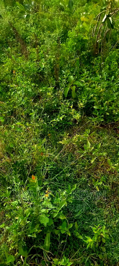 Gem Apuoche School - Image 4