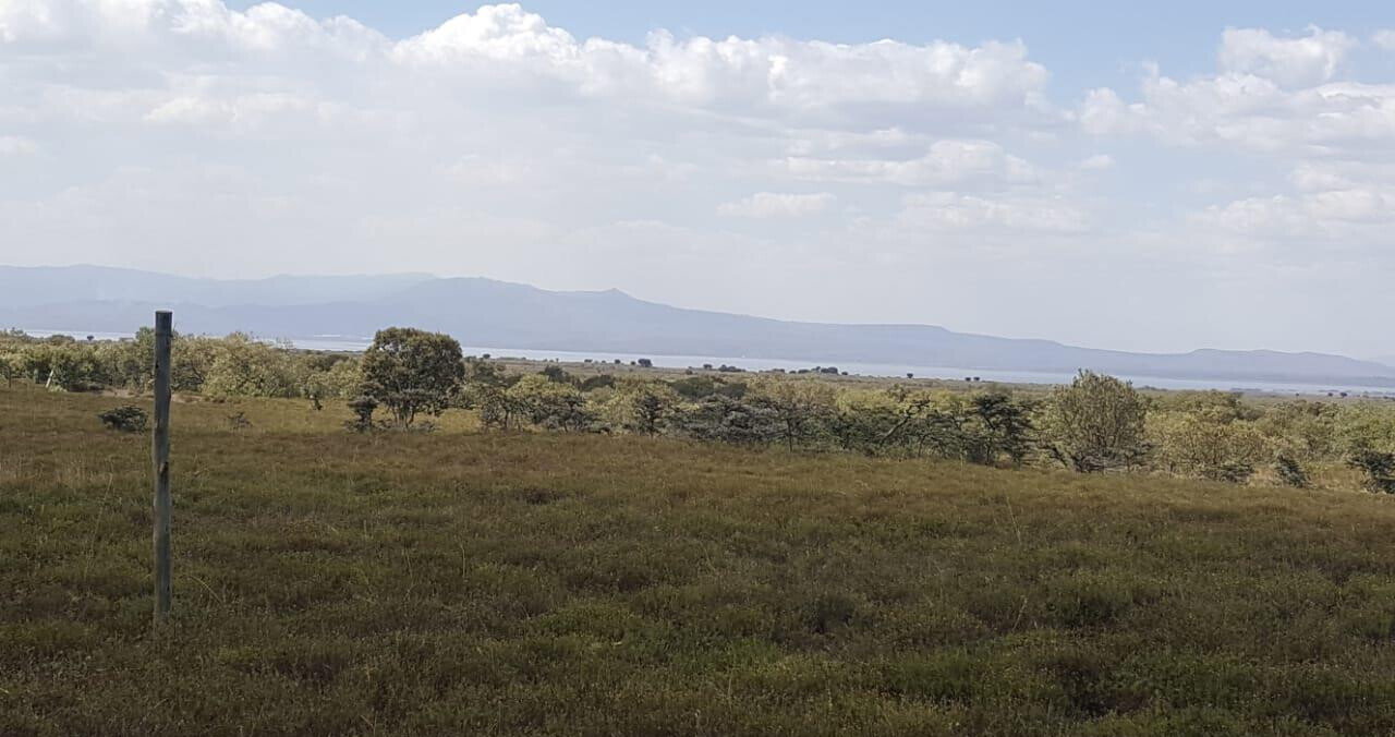 12-Acre Plot with Garden for KSh 8M