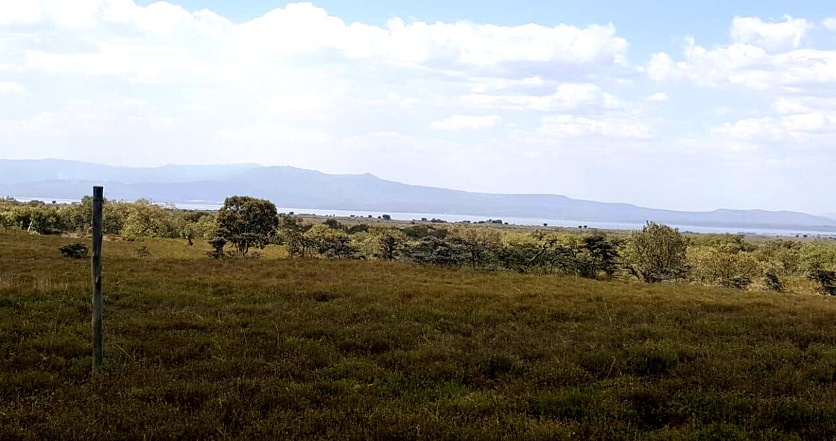 12-Acre Plot with Garden for KSh 8M