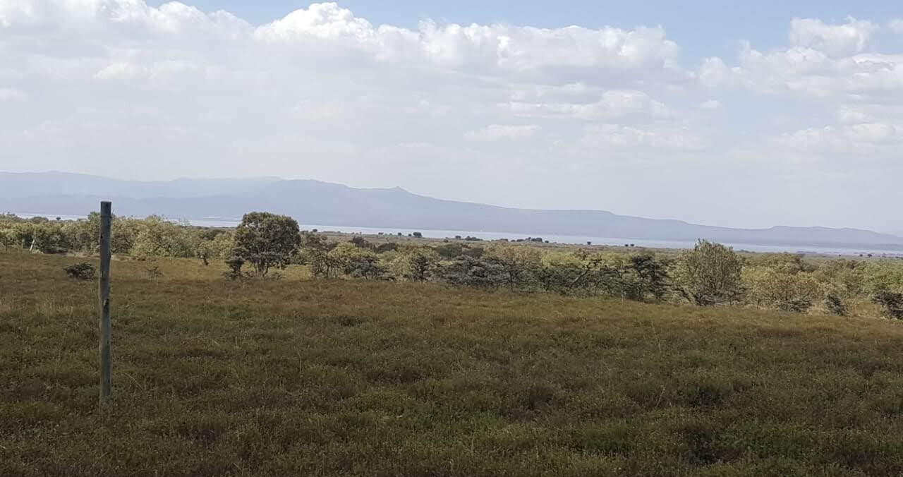 12-Acre Plot with Garden for KSh 8M