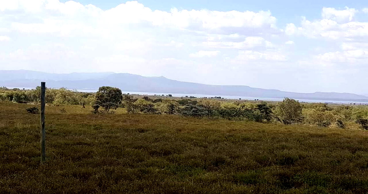 12-Acre Plot with Garden for KSh 8M